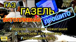 Прошиваем битопливную Газель ЭБУ Микас 12 9867.3763001-01. Динамичная прошивка евро-2 без пропусков.