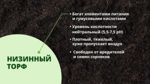 Верховой или низинный торф - что выбрать?