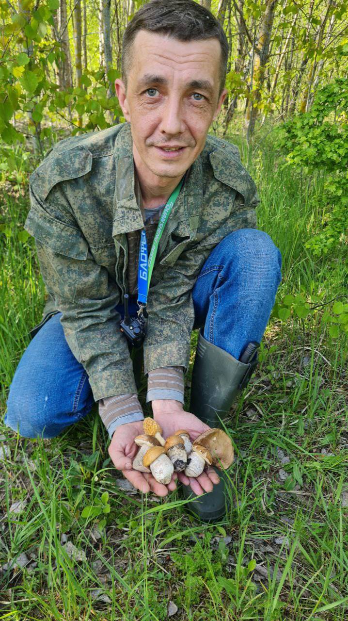 ШОК. ПРИРОДА СОШЛА С УМА. ГРИБЫ. Подберезовики в лесу. 27 АПРЕЛЯ смотреть онлайн