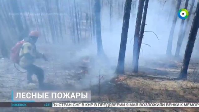 ТК МИР_Природные пожары в Забайкальском крае смотреть онлайн