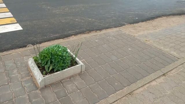 Территория Х смотреть онлайн