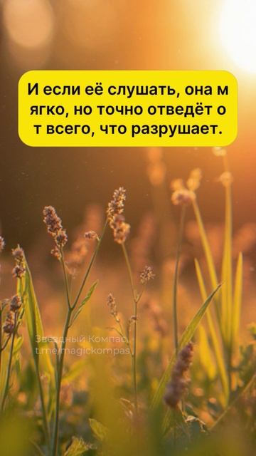 Руна Алгиз