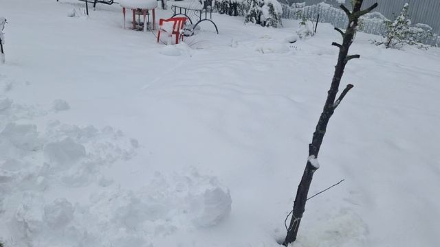 Погода 2 мая смотреть онлайн