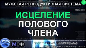 💪 МУЖСКАЯ СИЛА: Восстановление и Омоложение Полового Члена! 🧬💪