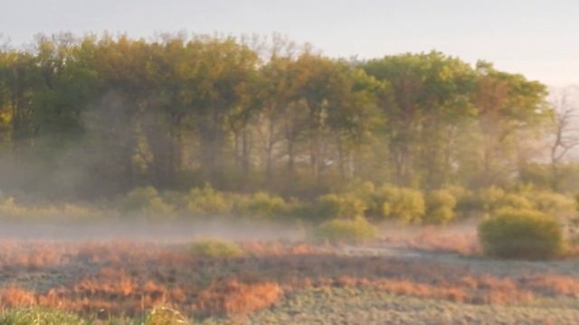 Заводь рассвет смотреть онлайн