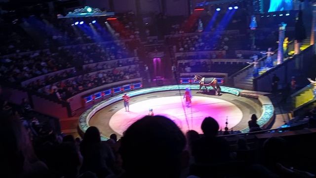 1000013234.mp4 смотреть онлайн