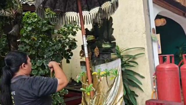 27.05 НАПАДЕНИЕ ОБЕЗЬЯН НА СВЯТОЙ ХРАМ 🙊🙉🙈 ИНДОНЕЗИЯ 👉ОСТРОВ БАЛИ ❤️ ШОПИНГ смотреть онлайн