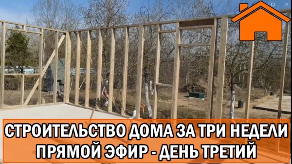 Строительство дома за 3 недели, прямой эфир. День третий.