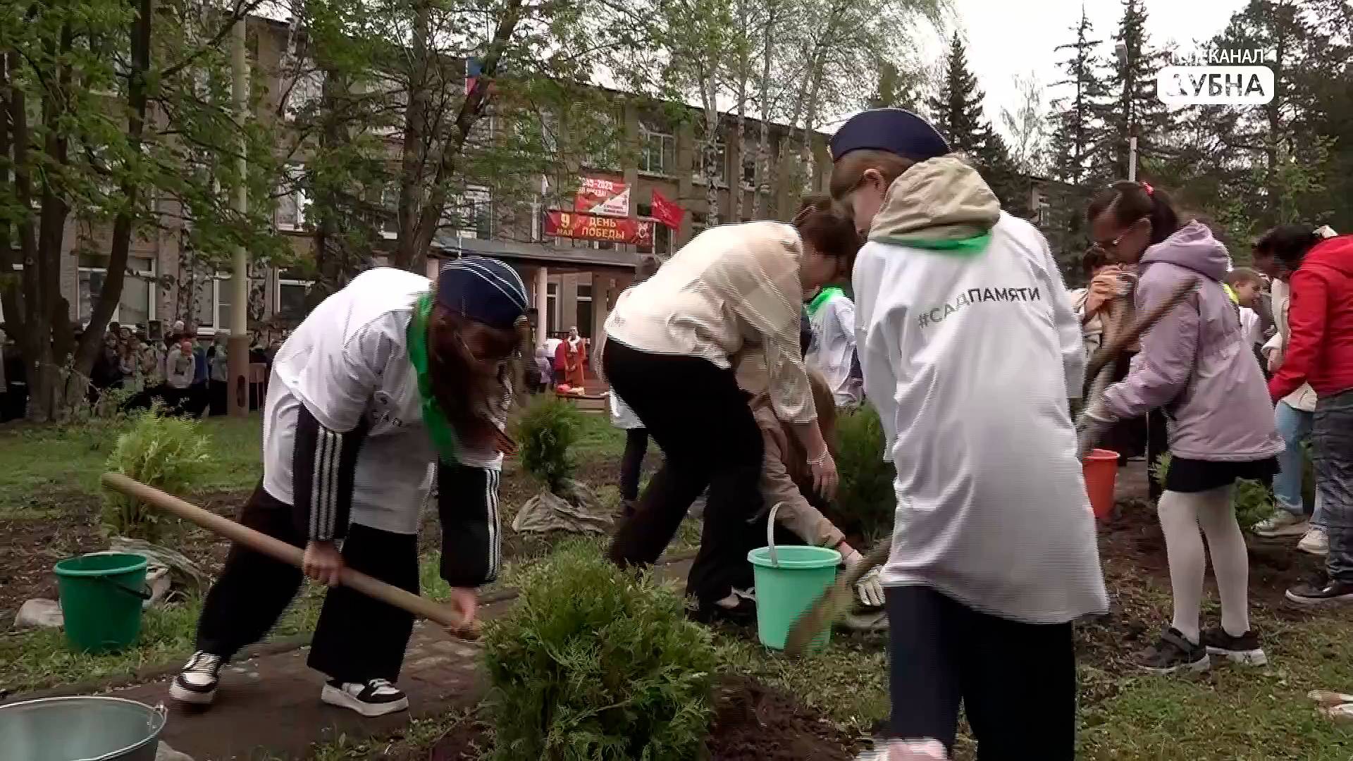 Новые деревья высадили в честь 80-летия Победы на Аллее Славы возле Школы №9 в Дубне смотреть онлайн