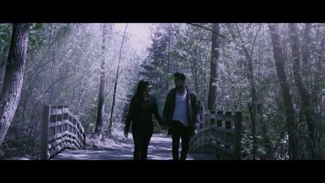 The Whistler (pitch)