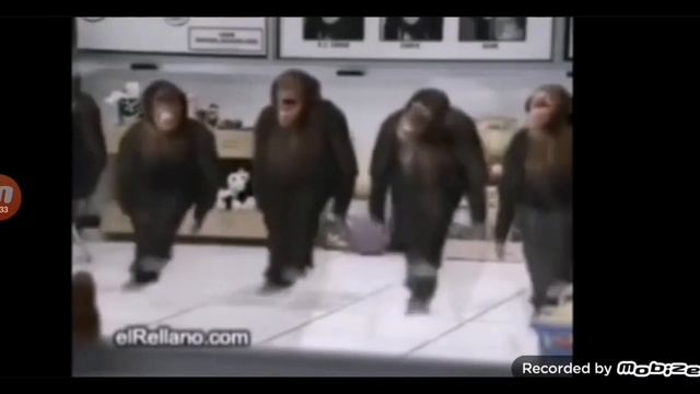 видео с обезьянами уа уаа уа смотреть онлайн