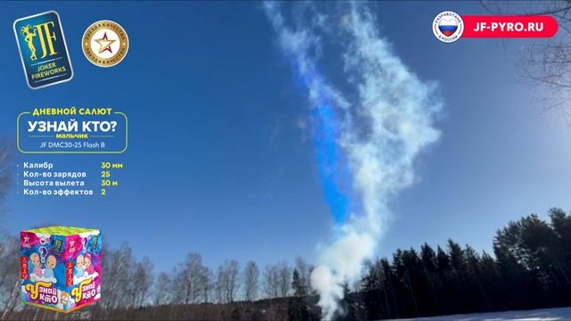 Дневная салютная установка «Узнай кто» — JF DMC30-25 Flash B смотреть онлайн