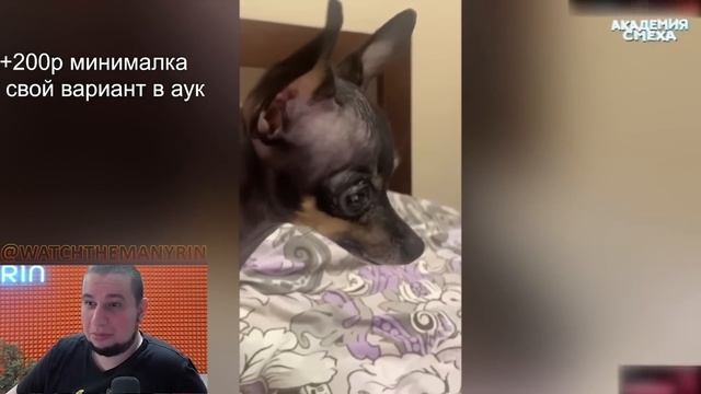 МАНУРИН СМОТРИТ АКАДЕМИЮ СМЕХА - MANYRIN СМОТРИТ ЛУЧШИЕ ПРИКОЛЫ 2023- РЕАКЦИЯ 