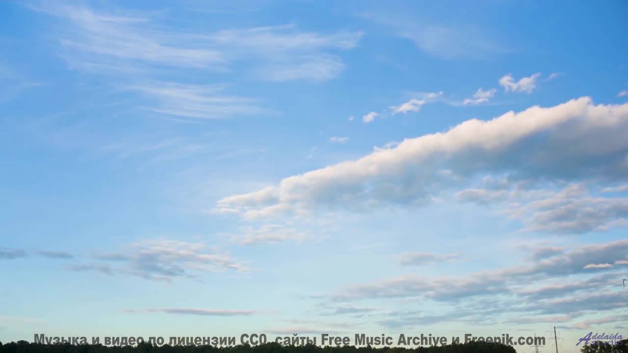 Кадры природы, которые снимут стресс за 3 минуты! - Weapons Expo (downbeat Reggae) -- Keshco -- Film