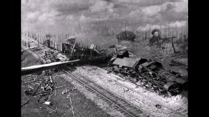 Шумел сурово брянский лес