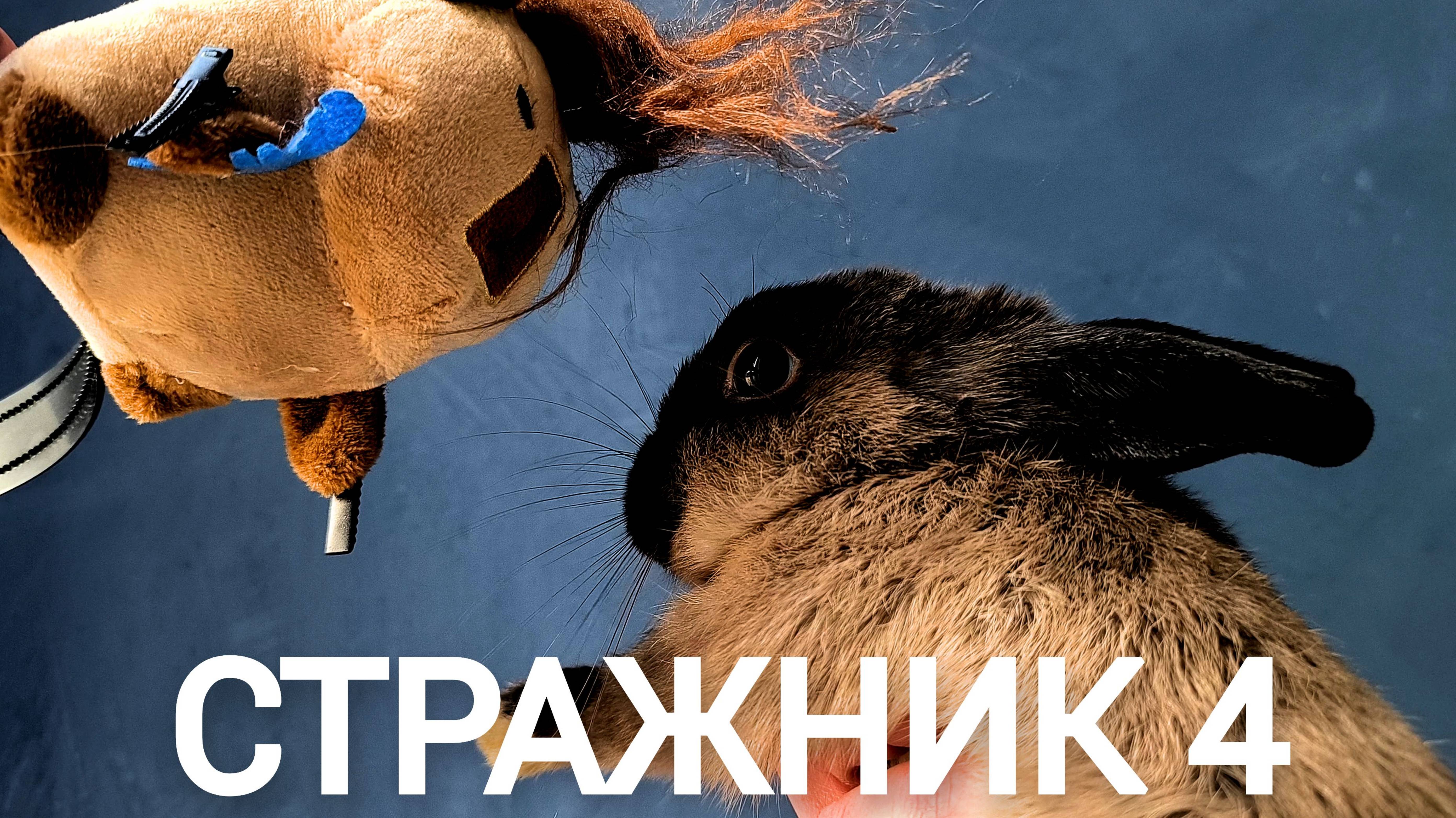 СТРАЖНИК 4: ШТУКАТУРЩИК