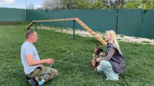 С БУРАНОМ К КИНОЛОГУ/ПЕРВАЯ ПОЕЗДКА