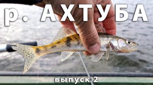 Щука, окунь, вобла, лещ! Рыбалка в Астрахани весной. Харабали, база Слобода, река Ахтуба.