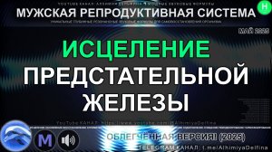 🌟🚀 ПРОЩАЙ, ПРОСТАТИТ! Саблиминал для здоровья простаты и энергии! 🌿💪 Секрет мужской силы