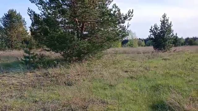 1611813 смотреть онлайн