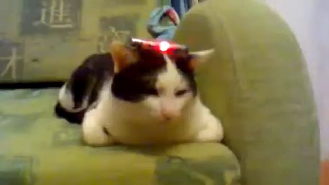 Прикол полицейский смотреть онлайн