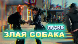 Смешной пранк / Осторожно злая собака / Реакции людей