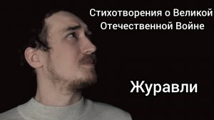 Журавли (стихи о великой отечественной войне)