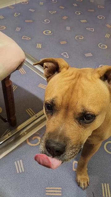 Боня и любовь к арбузу смотреть онлайн