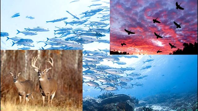 Великая миссия Посланников Света смотреть онлайн