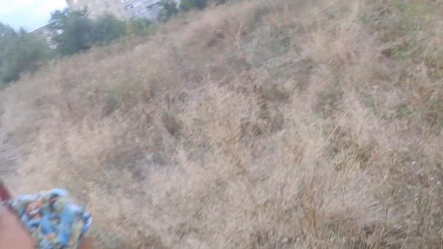 Завершаем трудный день прогулкой на пляж Созрело перекати-поле Нашлось облако Бога Попали под дождь смотреть онлайн