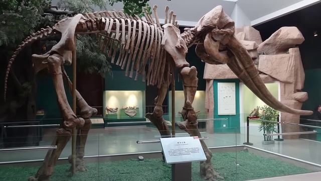 🎬 Первобытные люди: Самые маленькие древние люди когда-либо жившие на Земле. смотреть онлайн