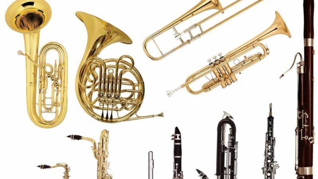 Георг Филипп Телеман • Серенада для духовых инструментов смотреть онлайн