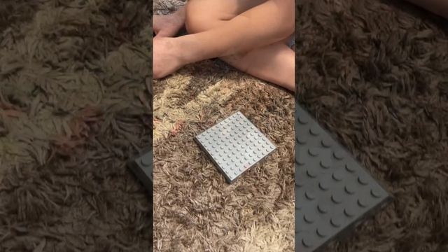 Собираем из Лего без инструкции. Часть 3. 
Загон для диких животных