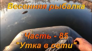 Весенняя рыбалка. Часть - 85. «Утка в сети».