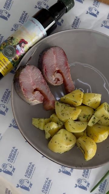 Азбука Севера