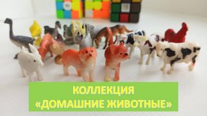 Коллекция домашних животных. Игрушки животные. Познавательное видео для детей.