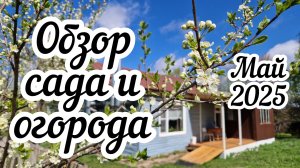 Обзор моего сада и огорода 🍓 Майские труды 👩🏻🌾