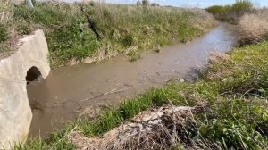 Строительство, расчищаем дренажные каналы