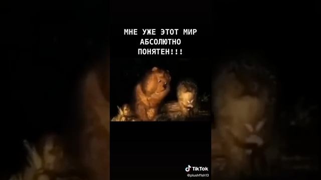 мне абсолютно понятен этот мир-прикол,смех,настроение смотреть онлайн