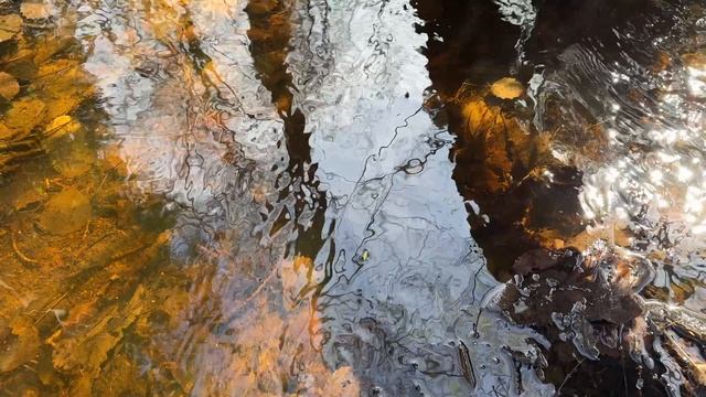 Минута № 61. Смотри и отдыхай.