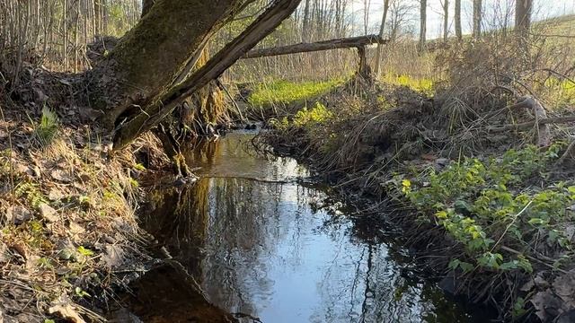 Минута № 62. Смотри и отдыхай.