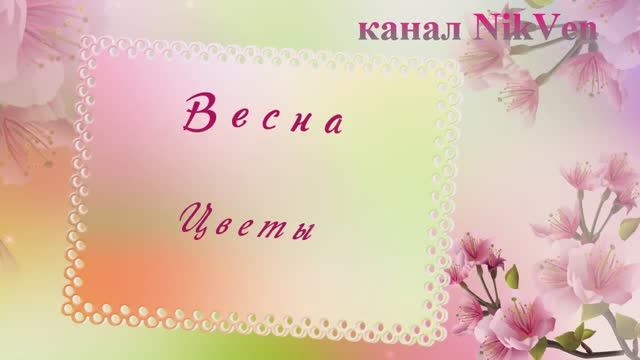 Александр Тихонов Вальс цветов или воспоминание смотреть онлайн