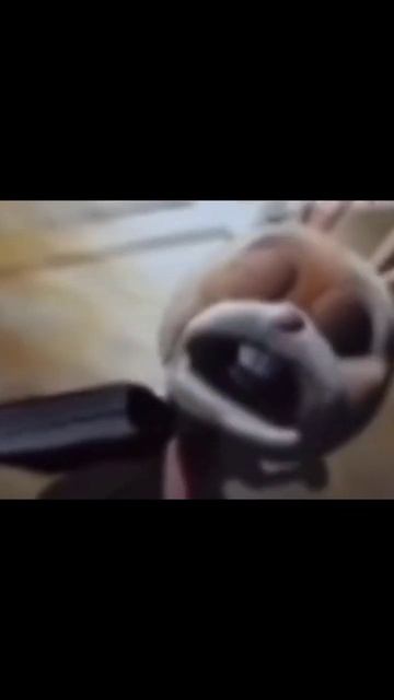 заяц злобно смеётся #мем смотреть онлайн