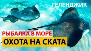 Трофейная рыбалка. Ловим Ската в Геленджике. Сезон 2025.