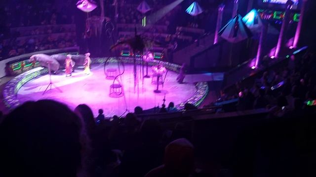 1000013235.mp4 смотреть онлайн