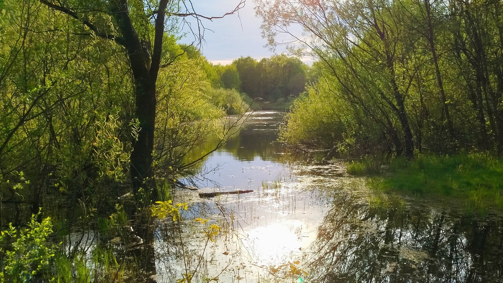 Отдых на природе с друзьями.