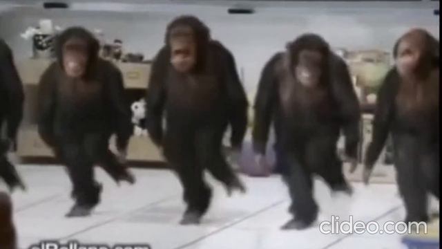 Обезьяны у аа уаа смотреть онлайн