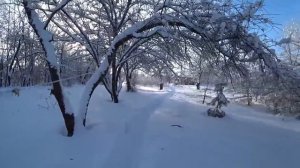 ИЗ ГОРОДА В ДЕРЕВНЮ. ОБЕД ИЗ РУССКОЙ ПЕЧИ. КАК ЖИВЁТ ПОСЛЕДНИЙ ЖИТЕЛЬ. ДЕРЕВНИ ГЛУБИНКИ РОССИИ.