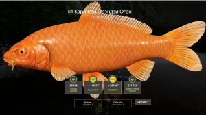 ЛУЧШИЕ ТОЧКИ НА МЕДНОМ В ПОНИЖЕННУЮ ТЕМПЕРАТУРУ В РУССКОЙ РЫБАЛКЕ 4 РР4