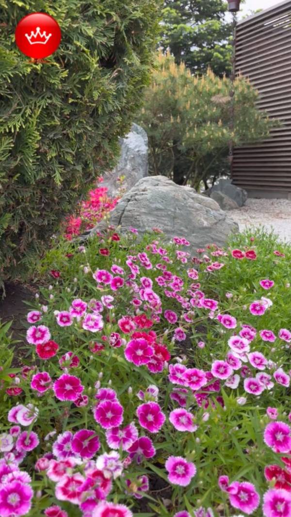 🌸Гуляем в Японском саду 2025. смотреть онлайн